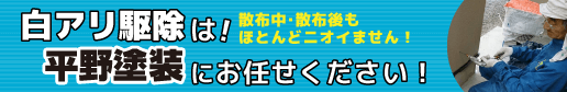 シロアリ駆除